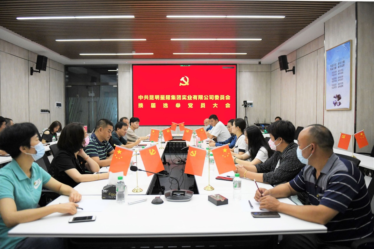 星耀集团党委换届选举党员大会