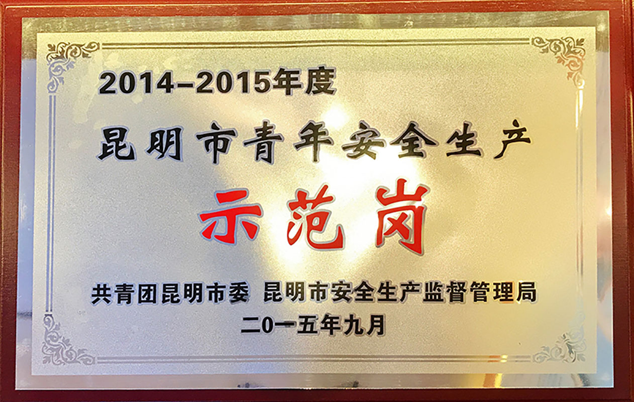 2014-2015年度昆明市青年安全生产示范岗