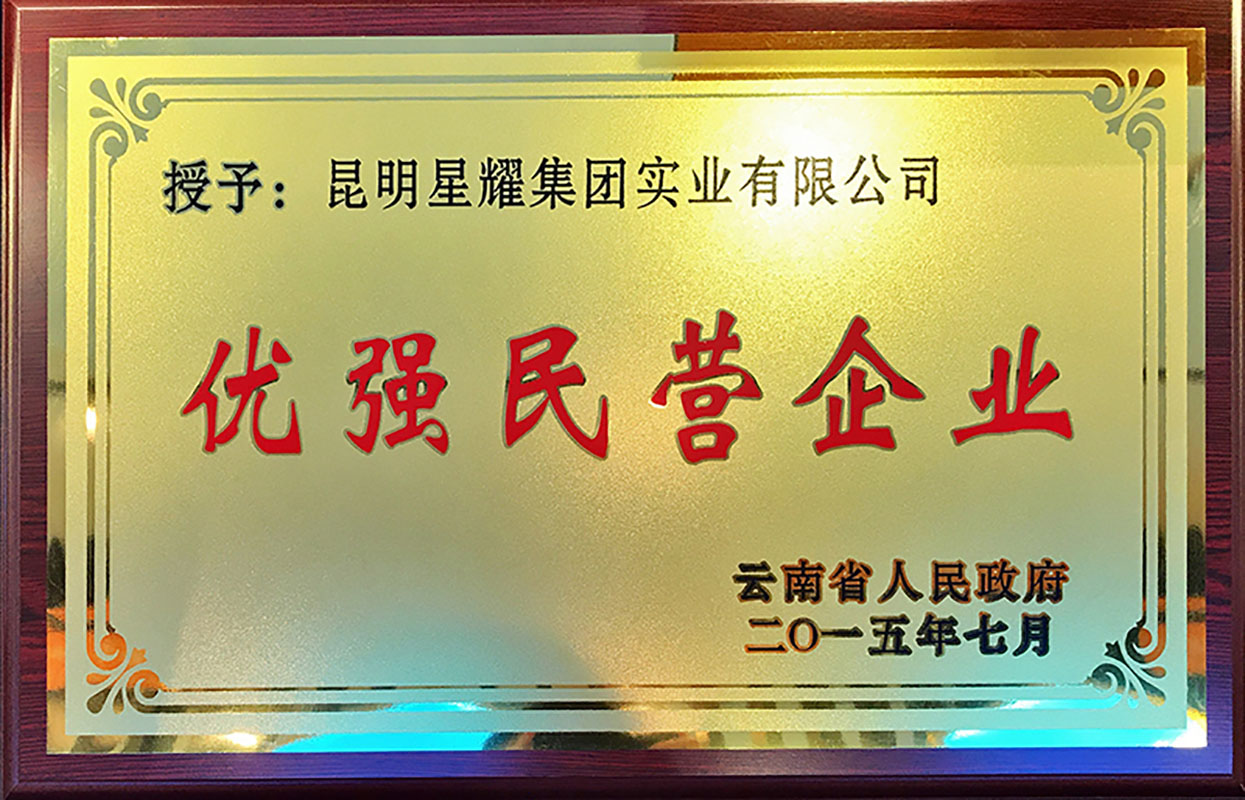 2015优秀民营企业