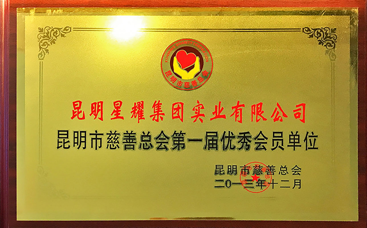 2013昆明市慈善总会第一届优秀会员单位
